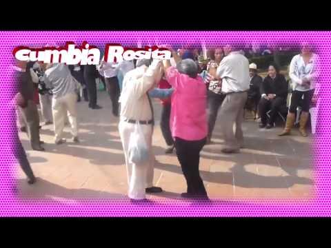 cumbia rosita viejitos pero sabrosos
