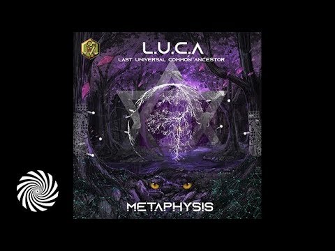 Metaphysis & Surke - Ascensao
