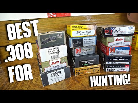 Best .308 Hunting Ammo! (Knock 'Em Down Quick!)