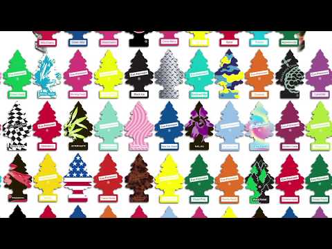 Little Trees  Air Freshener Hanging Tree-Experience the original automotive air freshener