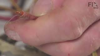 Whirlpool Range Repair: How to Replace the Dual Element