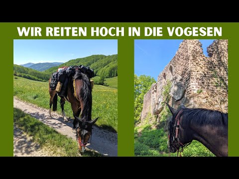 We ride high into the mountains | Documentary Trail Ride Vosges Alsace Part III