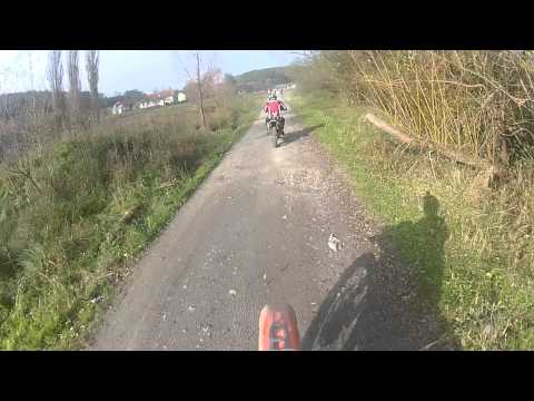 padure remetea 01.11.2014