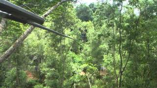 preview picture of video 'Brave 60 year old Grandmother (Opah) on the Treetop Flying Lemur AdventurePlay Penang Malaysia'