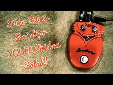 Danelectro Chicken Salad 2000s - Orange image 4
