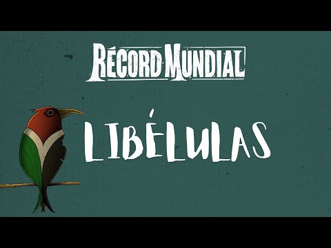 Récord Mundial - Libélulas