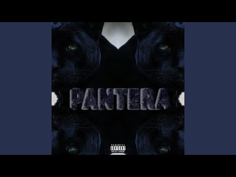 Pantera