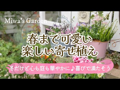 吊り下げ多年生植物 覆われたテラス パーゴラ バルコニー 温室 ロベリア