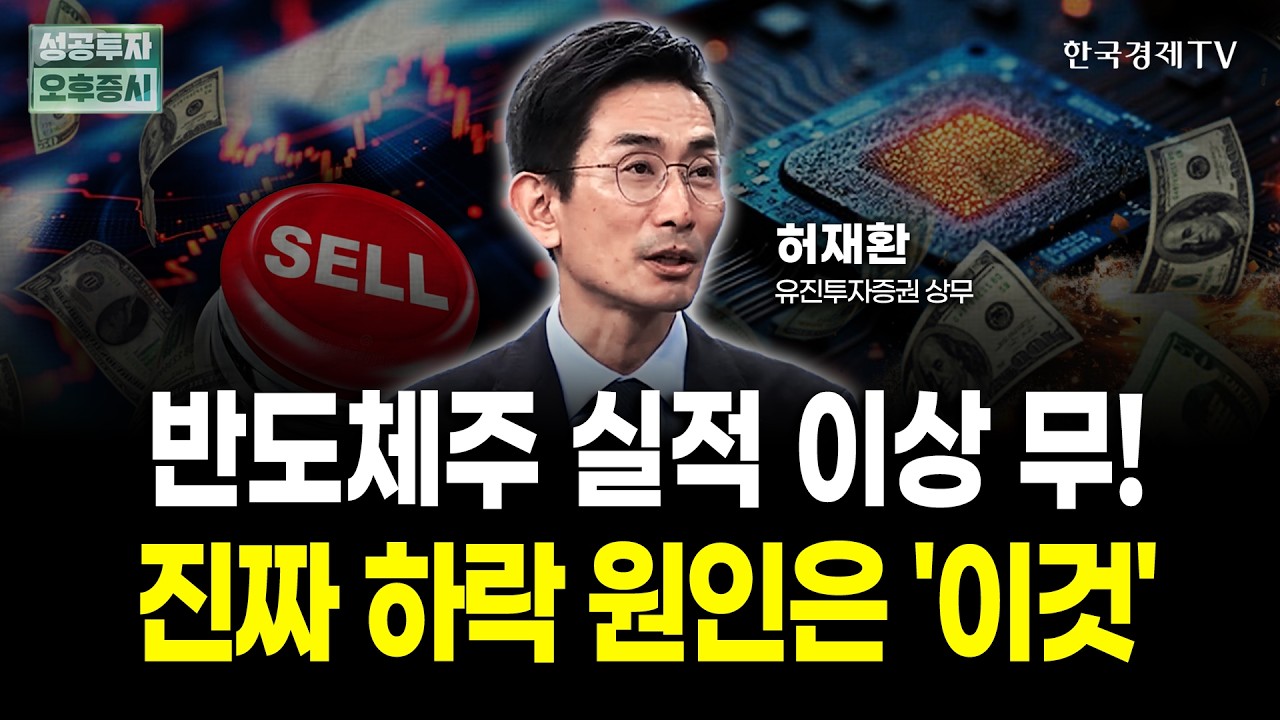 반도체주 실적 이상 무! 진짜 하락 원인은 '이것 | 허재환 유진투자증권 상무 | 내일전략
