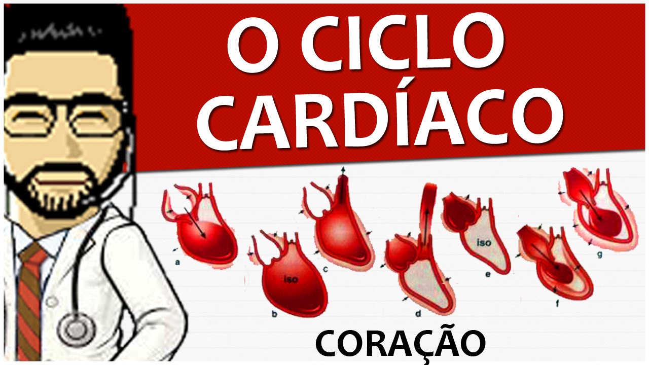 Coração 07 - Ciclo cardíaco (Fisiologia) - Vídeo aula de Sistema circulatório