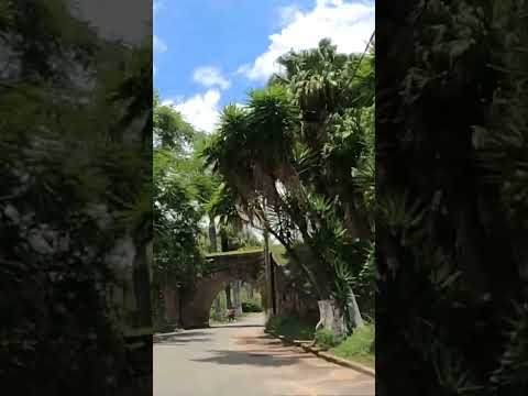 Interior de Minas: Alfredo Vasconcelos.  #minasgerais #viagem #interiordeminas