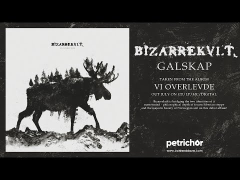 Bizarrekult - Galskap
