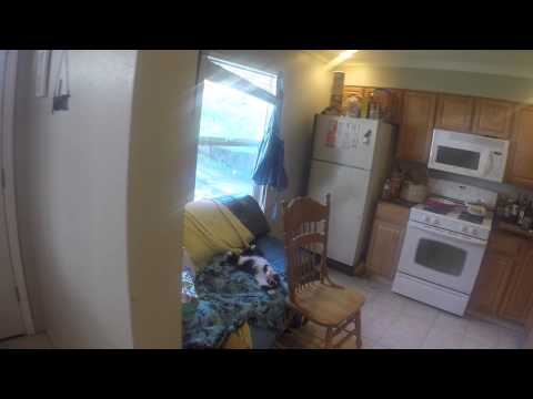 A tour of our beautiful new house!