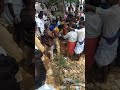 Pullamangalam Karaiyadi Sudalai Alaippu