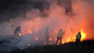 preview picture of video 'Wildfire at Ballyvergan Marsh, Youghal. - 9th April 2015'