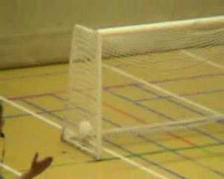 zwr evergem - inatra de rafkes