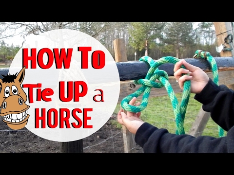 YouTube video about: How to tie horse to hitching post?