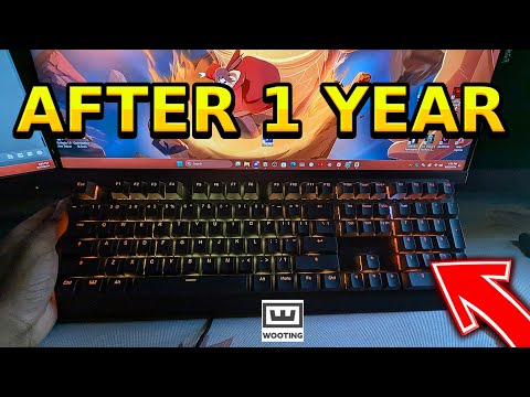 The Wooting Two HE AFTER One Year Of Use... (Why This Is The BEST Keyboard)