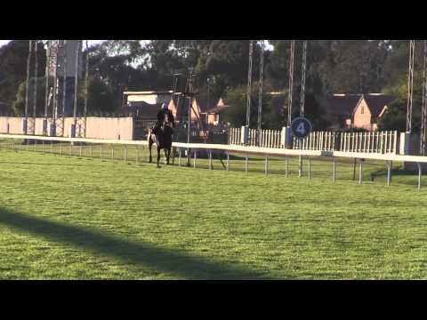 CHERRY ON THE TOP FINAL PREP ON GRASSYouTube sharing