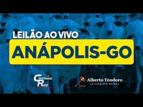 LEILÃO DE ANÁPOLIS | ANÁPOLIS-GO 28/07/2025 | LEILÃO DE GADO AO VIVO