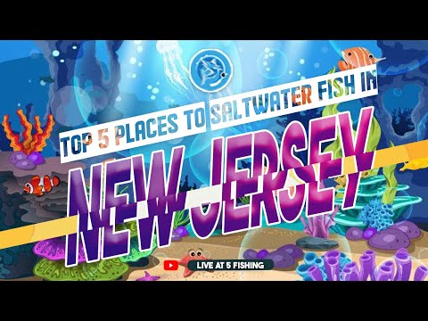 Top 5 Places to Saltwater Fish in New Jersey