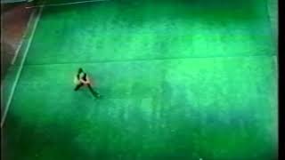 規定南拳 全套 上から