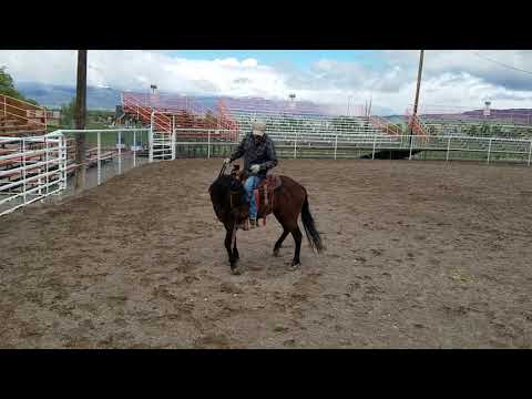 Foundation for spin.