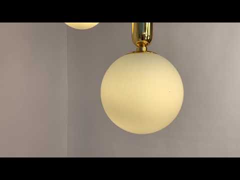Миниатюра изображения товара Потолочный светильник Odeon Light Okia 4669/1