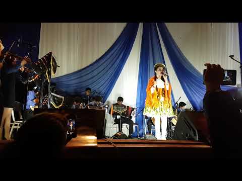 VIII Concurso de Estudiantinas 2017 Rosendo Huirse Muñoz - E.P. Arquitectura y Urbanismo