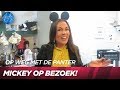 Een grote verrassing voor Hiske! ? | Op Weg Met De Panter #22 | UTOPIA
