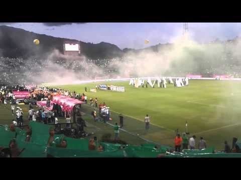 "Tifo y salida final 2015 ATLÃ‰TICO NACIONAL CAMPEÓN" Barra: Los del Sur &bull; Club: Atlético Nacional