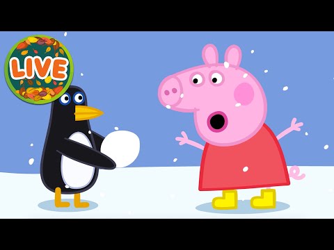 ❄️ Peppa Pig’s BIG Christmas Adventures LIVE! 🎁🎄| English Full Episodes | Holiday & Travel Days Out