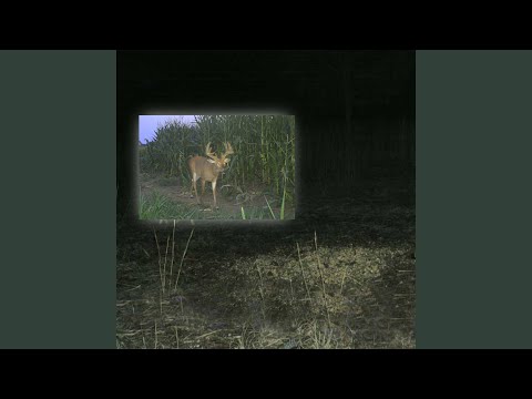 Ill Be Damned - Dutch Interior