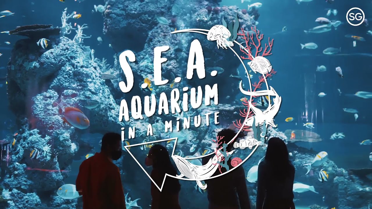 S.E.A Aquarium