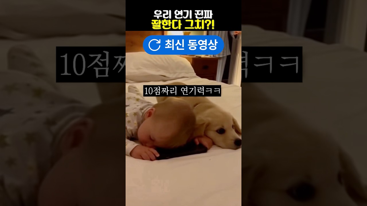 우리 연기 진짜 잘한다 그치?!