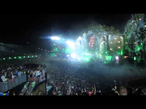 Tomorrowland 2014 Weekend 1 The Last Scream