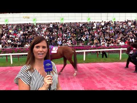 Korea International Races 2019