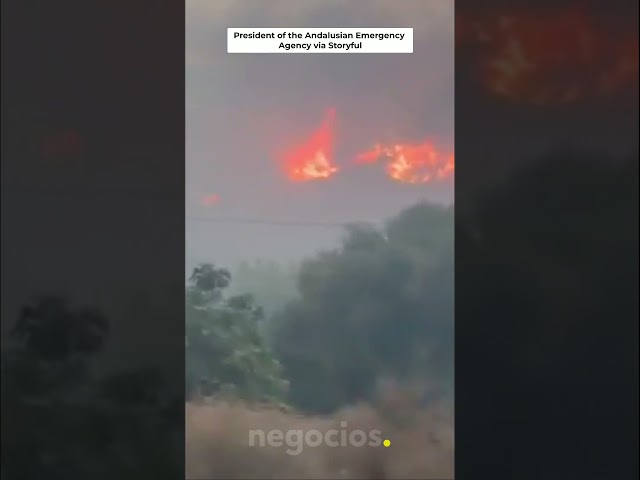 Vídeo relacionado con Bandera ALMERÍA ESPAÑA ANDALUCÍA Sudadera con Capucha