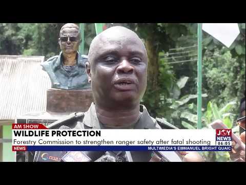 Wildlife Protection: Forestry Commission to strengthen ranger safety after fatal shooting | AM News