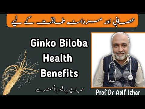 Ginkgo Biloba Benefits In Urdu/Hindi | Ginkgo Biloba Side Effects | Dr Asif Izhar