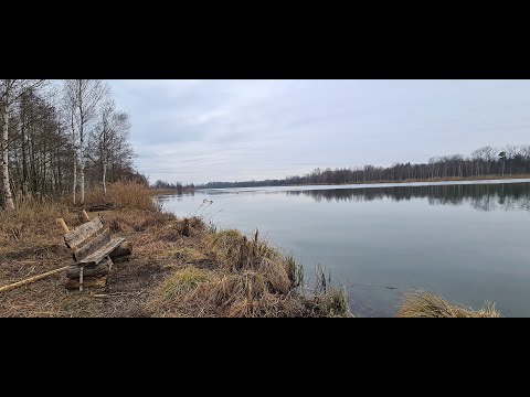 🚶 Nordic Walking Runde 🌧️ Isar Plattling - Niederpöring 🦢 #MyKomootStory #Leki #Bayern #Bavaria