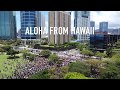 Aloha From Hawaii, BLACK LIVES MATTER!