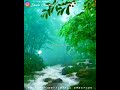 Silu Siluvendru Poongatru Tamil Melting WhatsApp Status Nature Love Status Rainyday Whatsapp Status