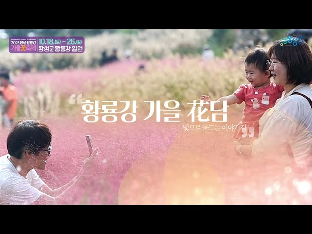 '가을 화(花)담' 빛으로 물드는 이야기길, 장성 황룡강 가을꽃축제