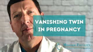 Sonogram: Vanishing Twin at 11 weeks