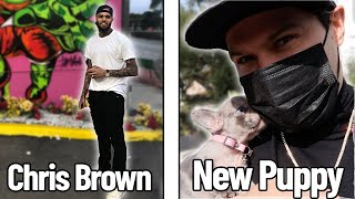 GRAFFITI WITH CHRIS BROWN &amp; PUPPY COMES HOME