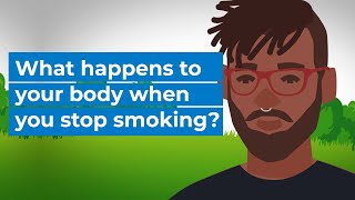 What happens to your body when you stop smoking?