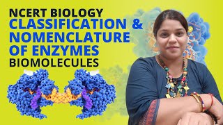 Classification and nomenclature of enzymes | Biomolecules | Class 11 | NEET