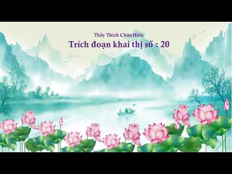 Thầy Thích Chân Hiếu trích đoạn khai thị số 20 - www.tinhthuquan.com