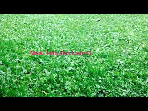 DJ Earworm . Reckoner Lockdown